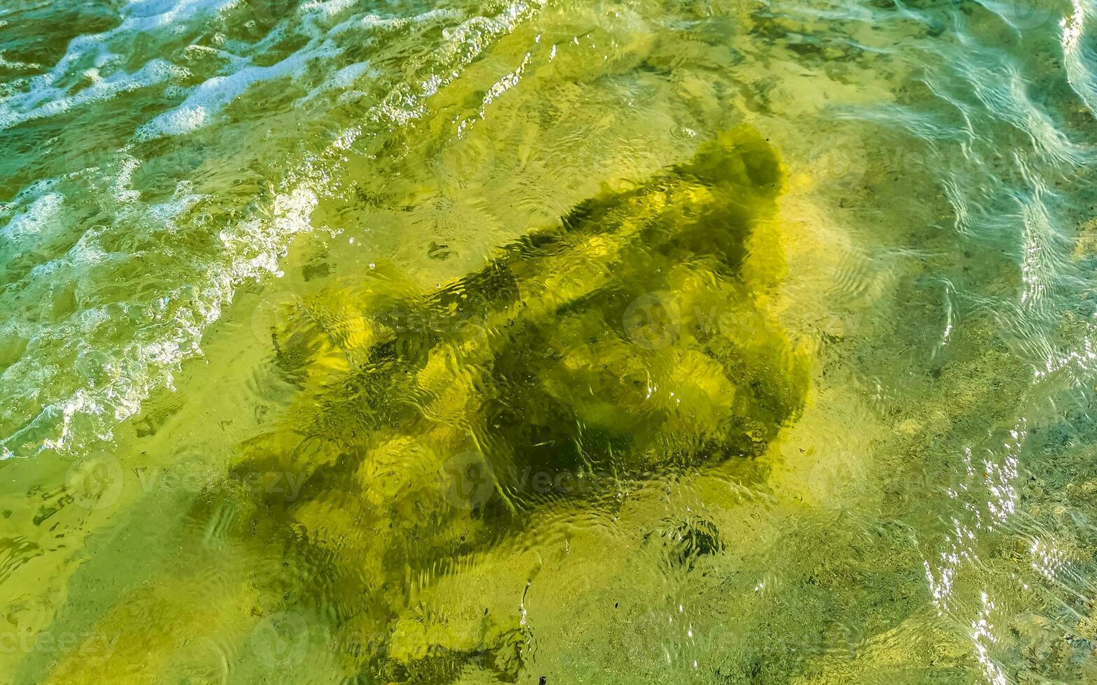 Stones rocks corals turquoise green blue water on beach Mexico. photo