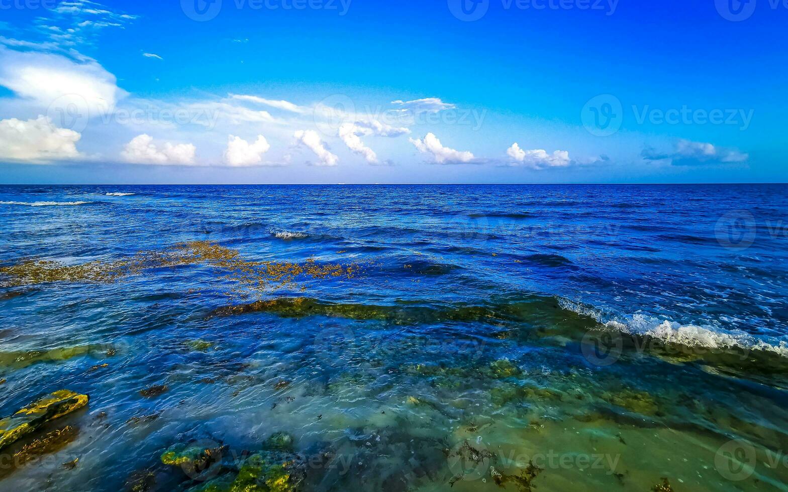 Tropical mexican beach clear turquoise water Playa del Carmen Mexico. photo