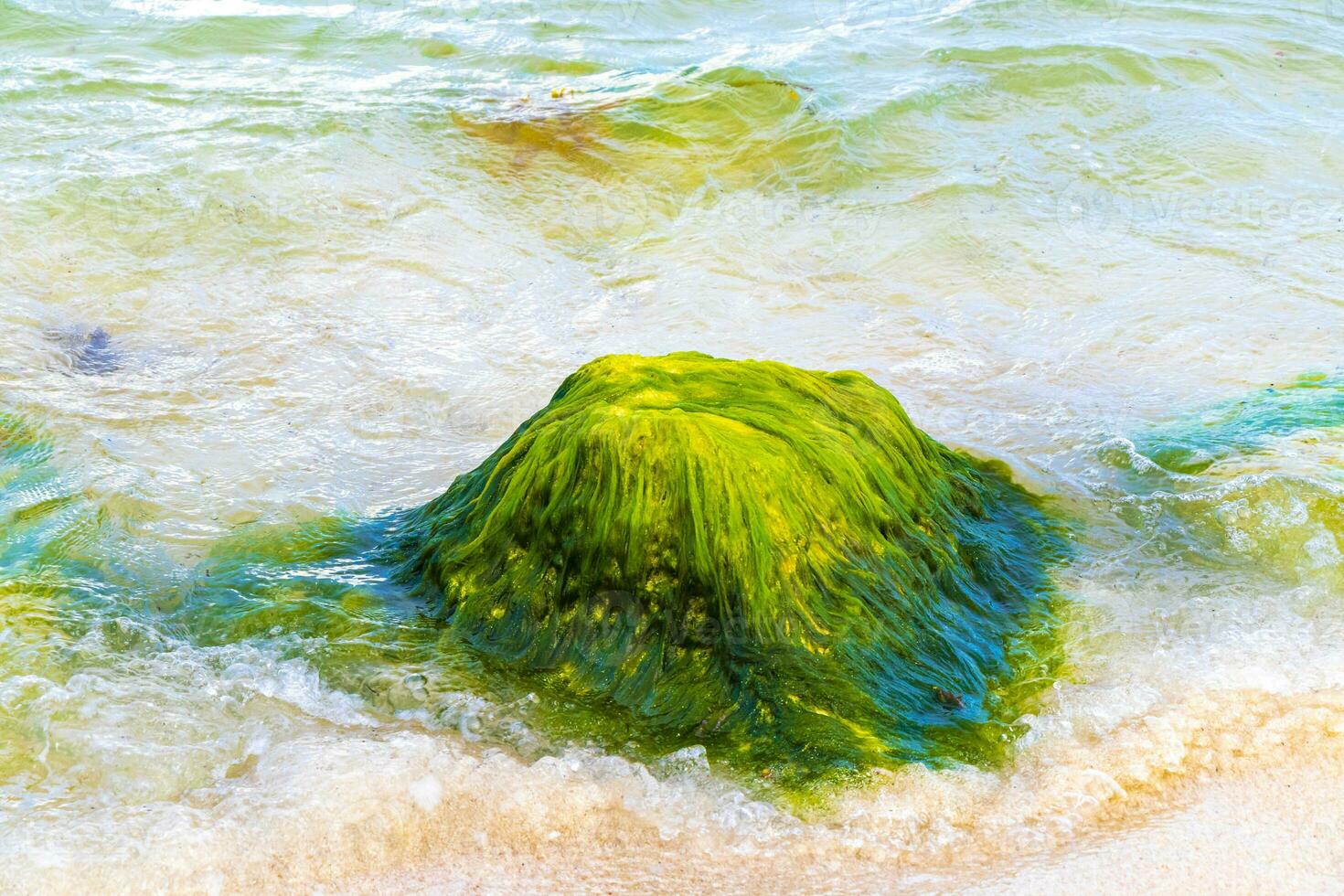 Stones rocks corals turquoise green blue water on beach Mexico. photo