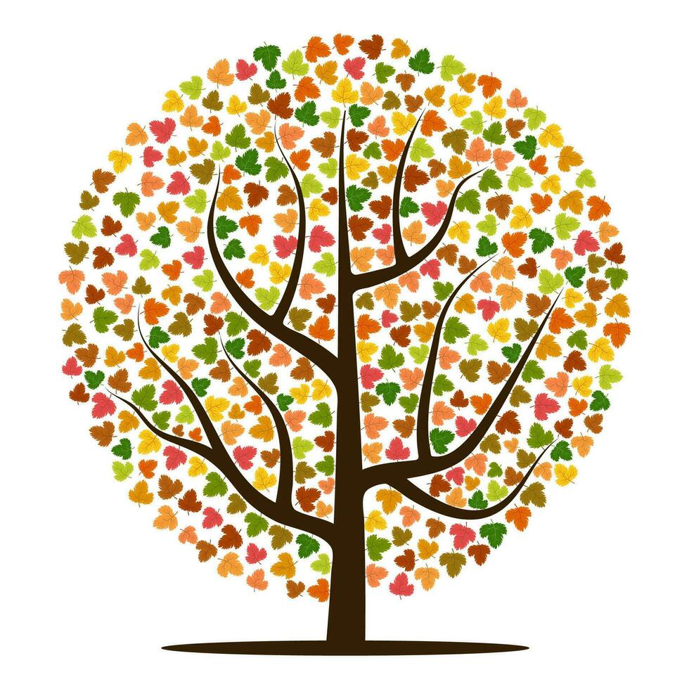 Autumn tree with yellow, orange, brown and green leaves. Vector illustration