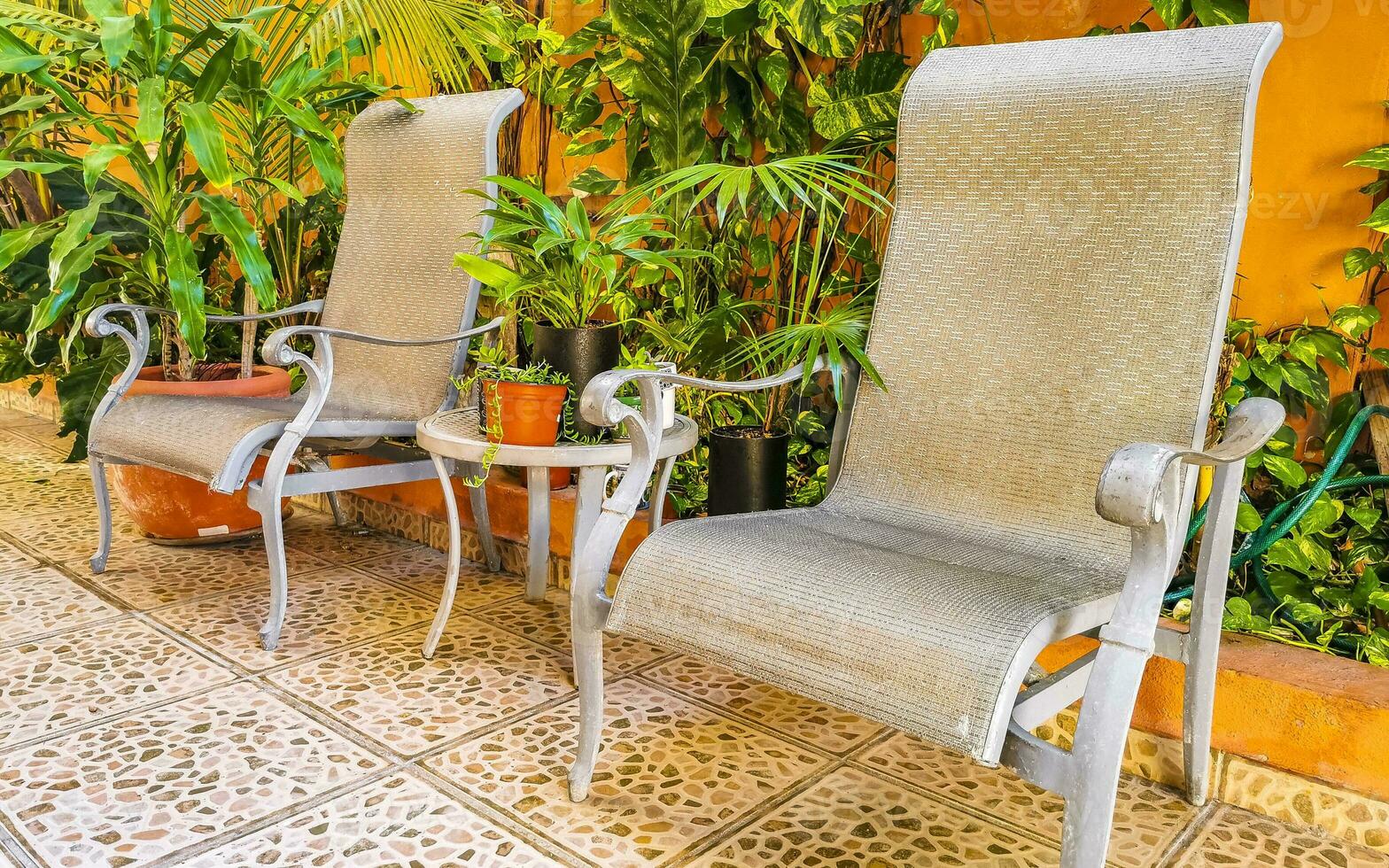 Royal silver chairs in tropical exotic garden in Mexico. photo