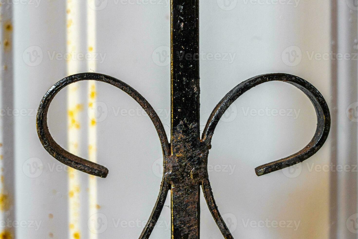 Artful old black metal railings doors gates and bars Mexico. photo