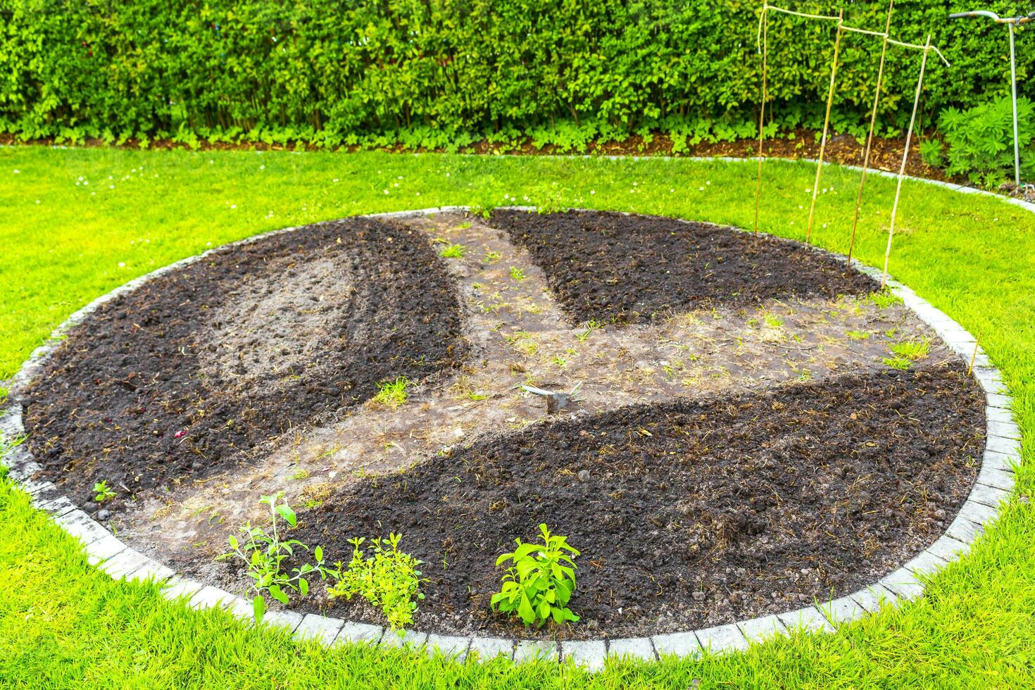 Garden with round beds soil young sprouts plants in Germany. photo