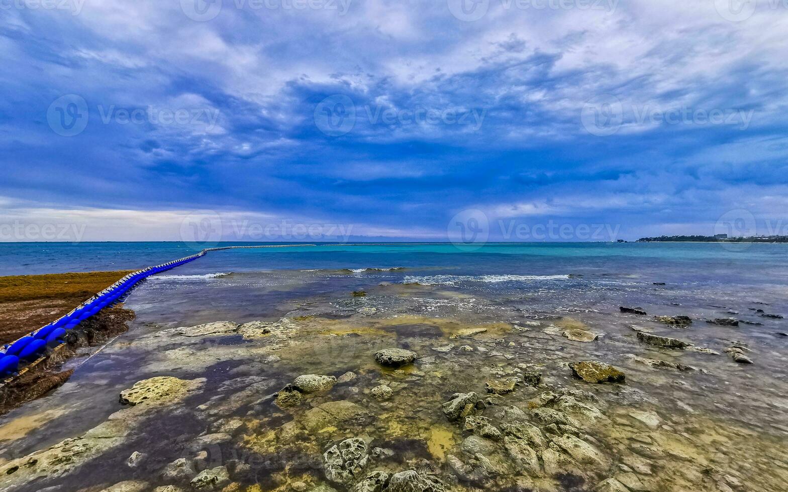 Seaweed Sargazo net caribbean beach water Playa del Carmen Mexico. photo