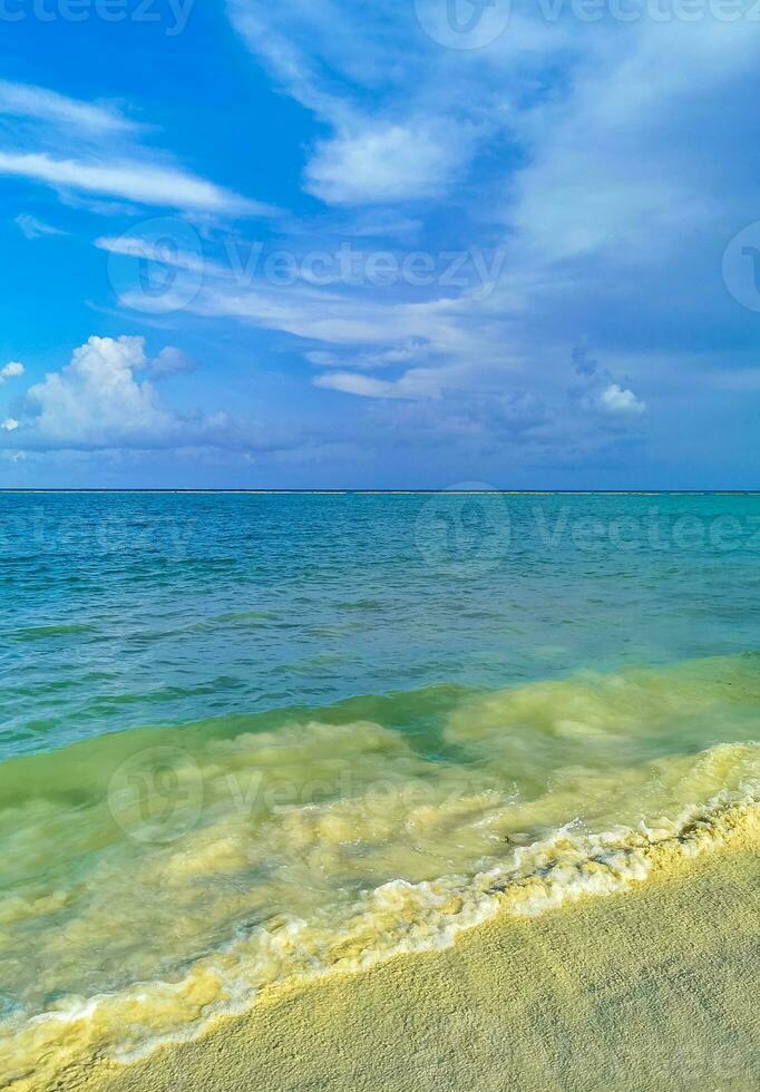 playa tropical mexicana agua turquesa clara playa del carmen mexico. foto