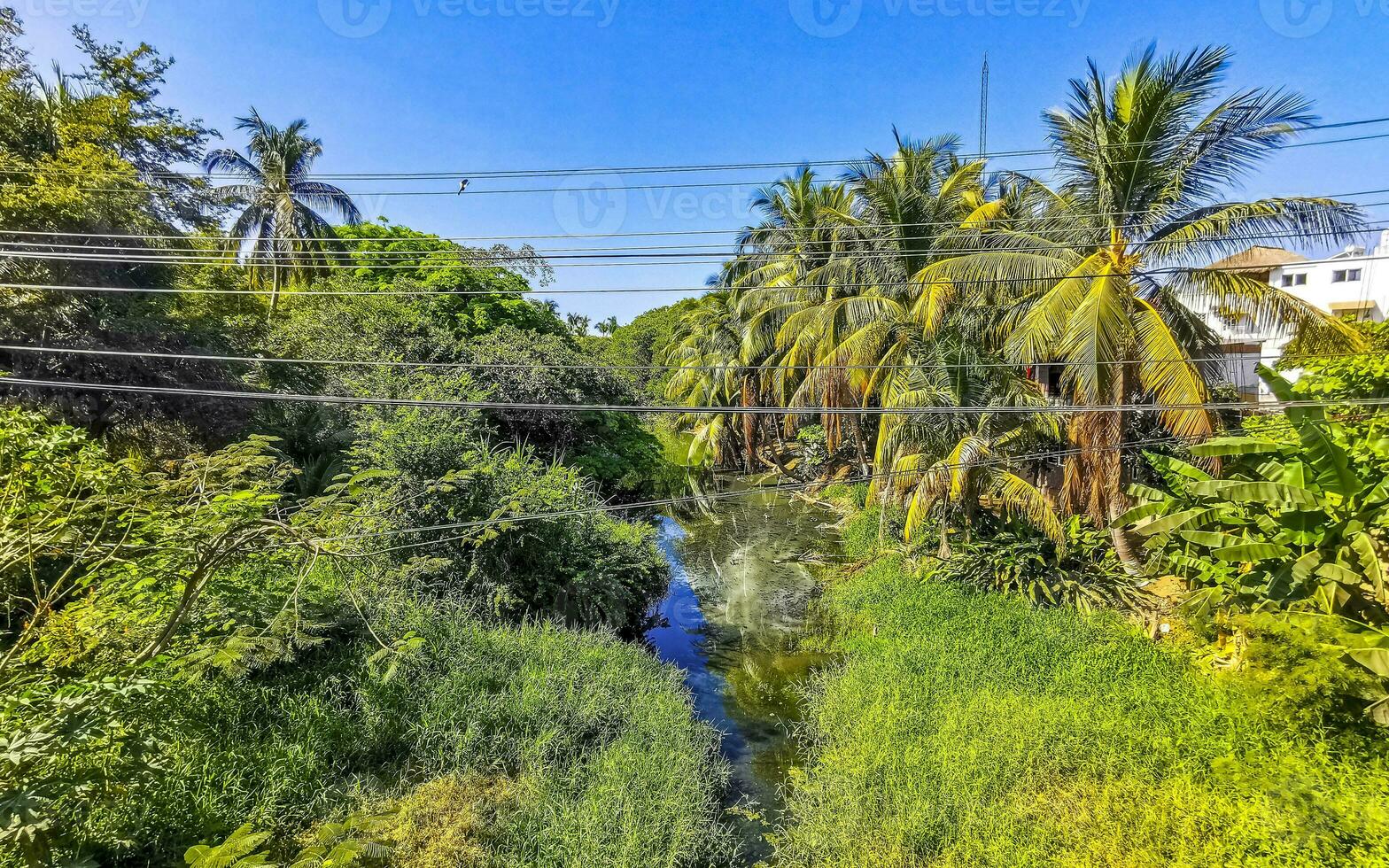 laguna de agua dulce de río tropical hermosa verde en puerto escondido méxico. foto