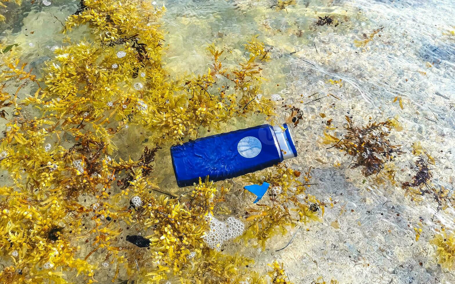 Very disgusting red seaweed sargazo beach with garbage pollution Mexico. photo
