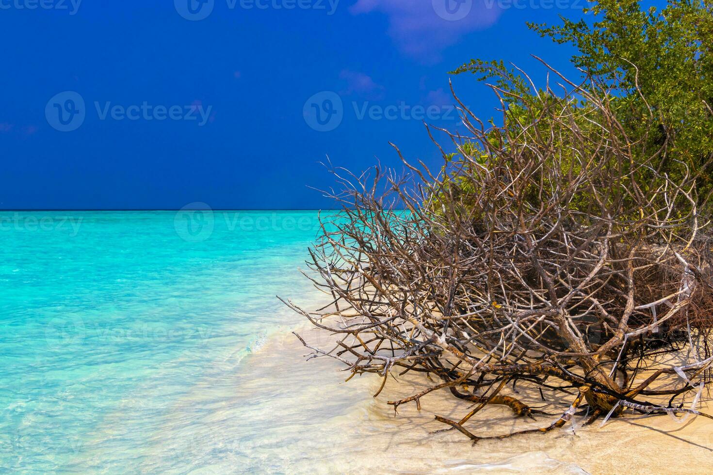 Natural tropical turquoise sandbank islands Madivaru Finolhu Rasdhoo Atoll Maldives. photo