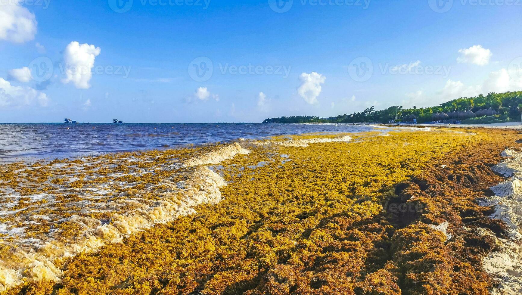 hermosa playa caribeña totalmente sucia sucio asqueroso problema de algas mexico. foto