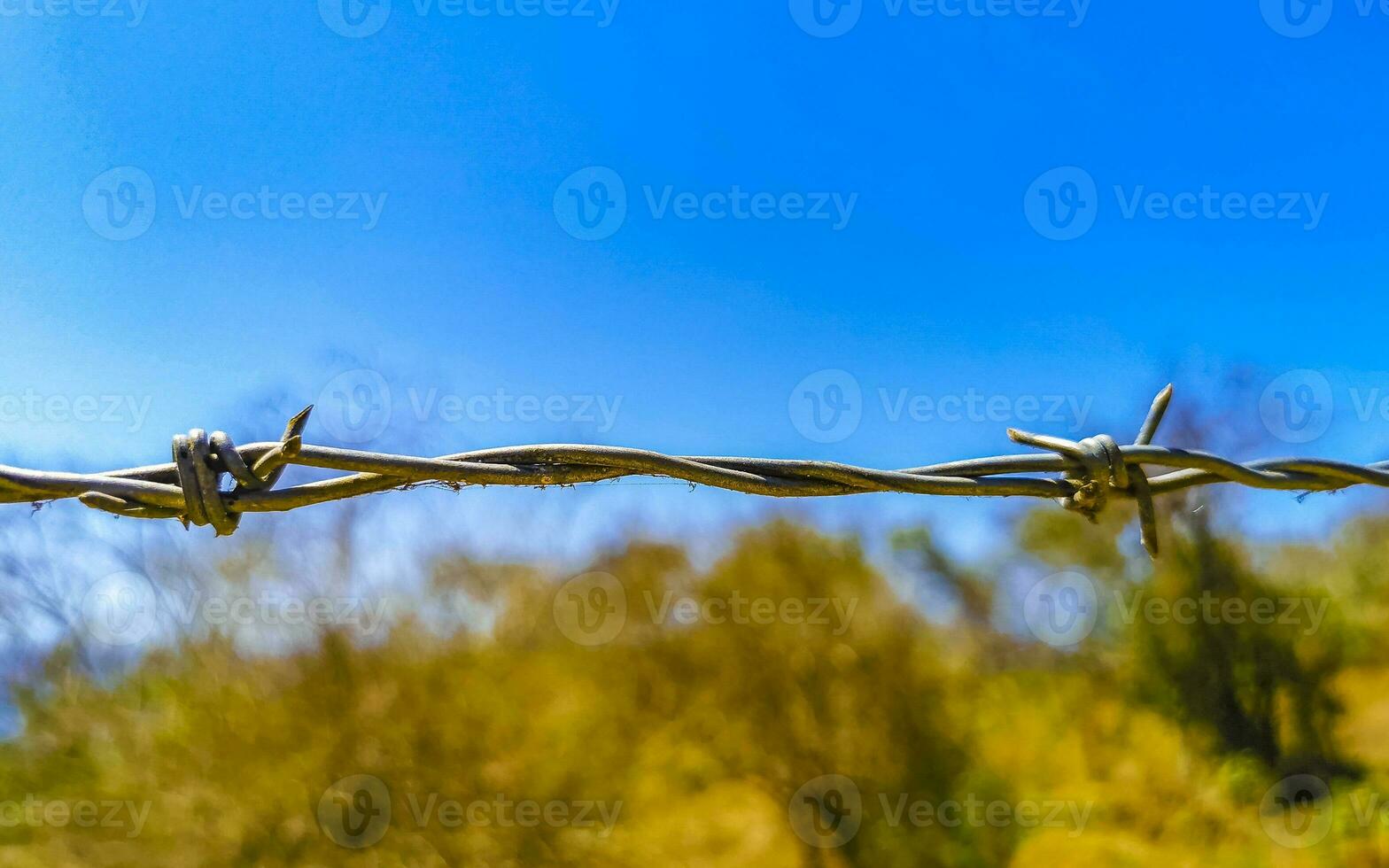 Nature beach and desert behind barbed wire fence and chains. photo