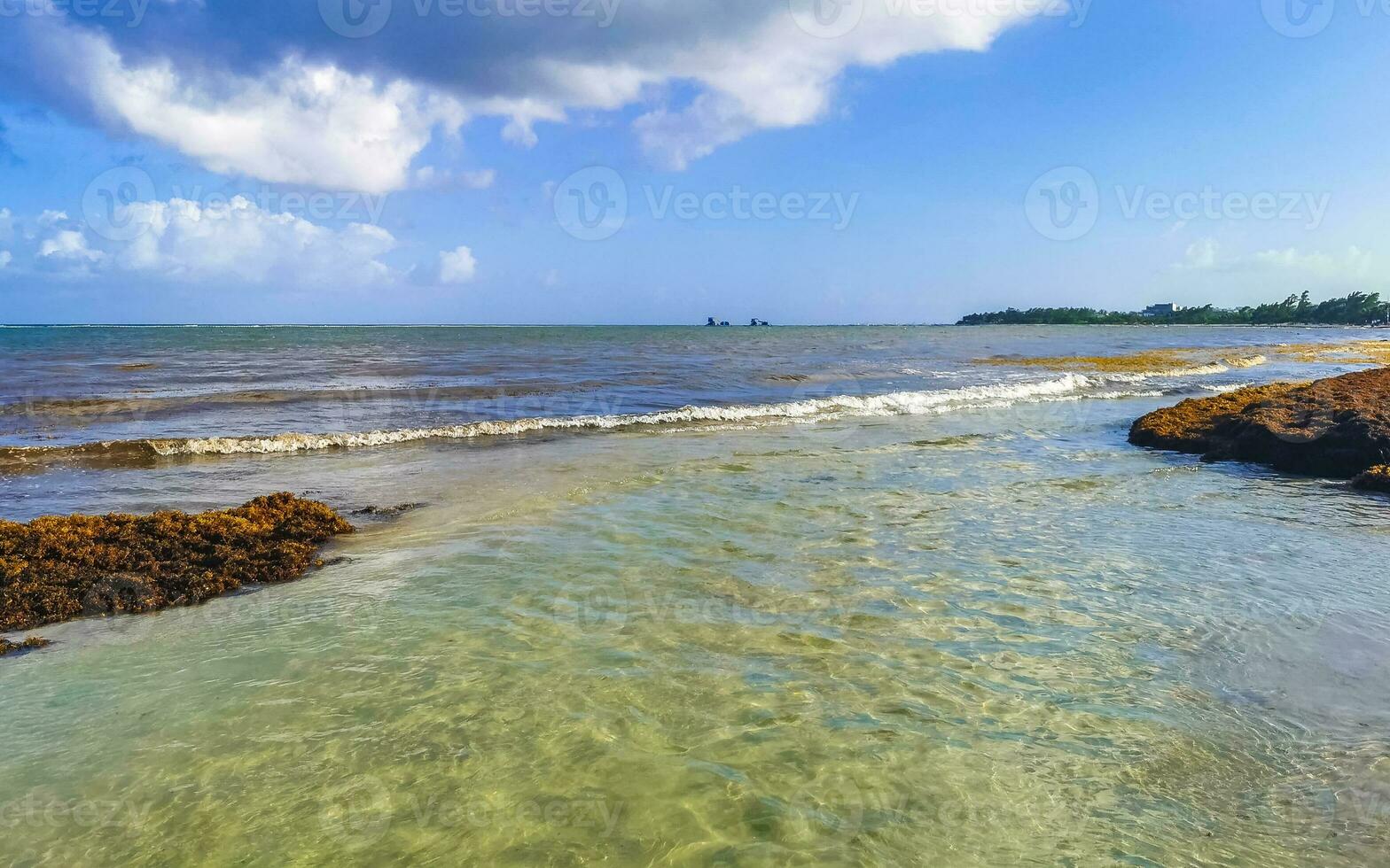Beautiful Caribbean beach totally filthy dirty nasty seaweed problem Mexico. photo