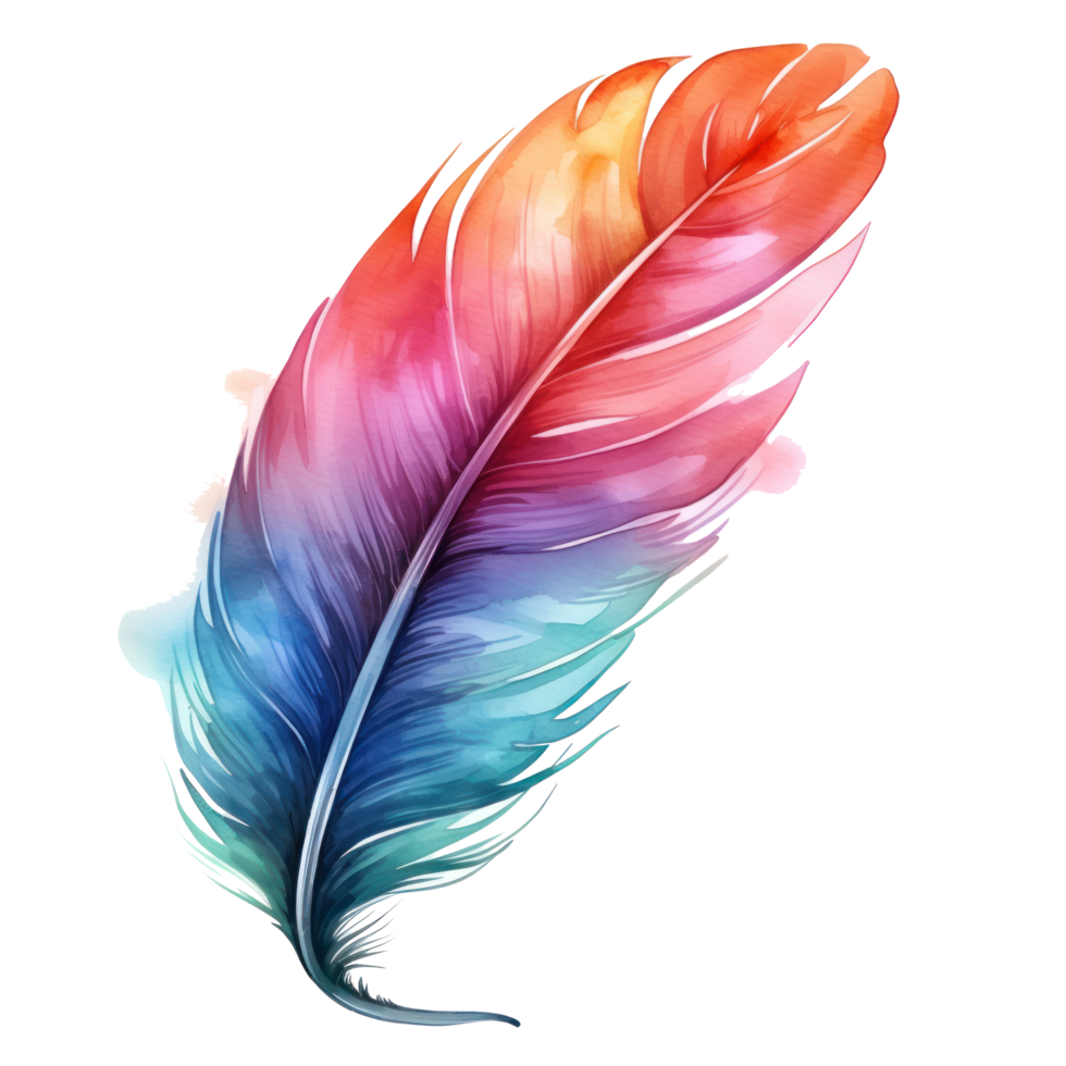 Colorful hand-painted feather isolated on white backgroud png