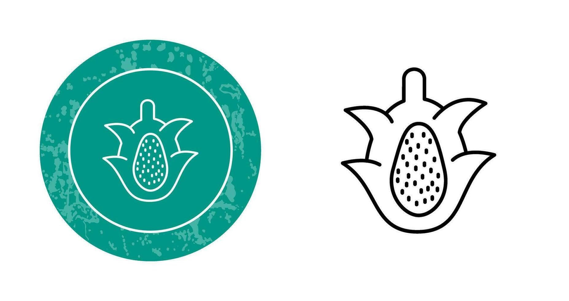 Dragon Fruit Vector Icon