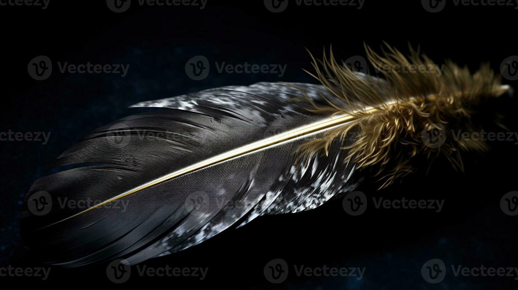 beautiful black feather isolated on black background Generative AI, AI Generated photo