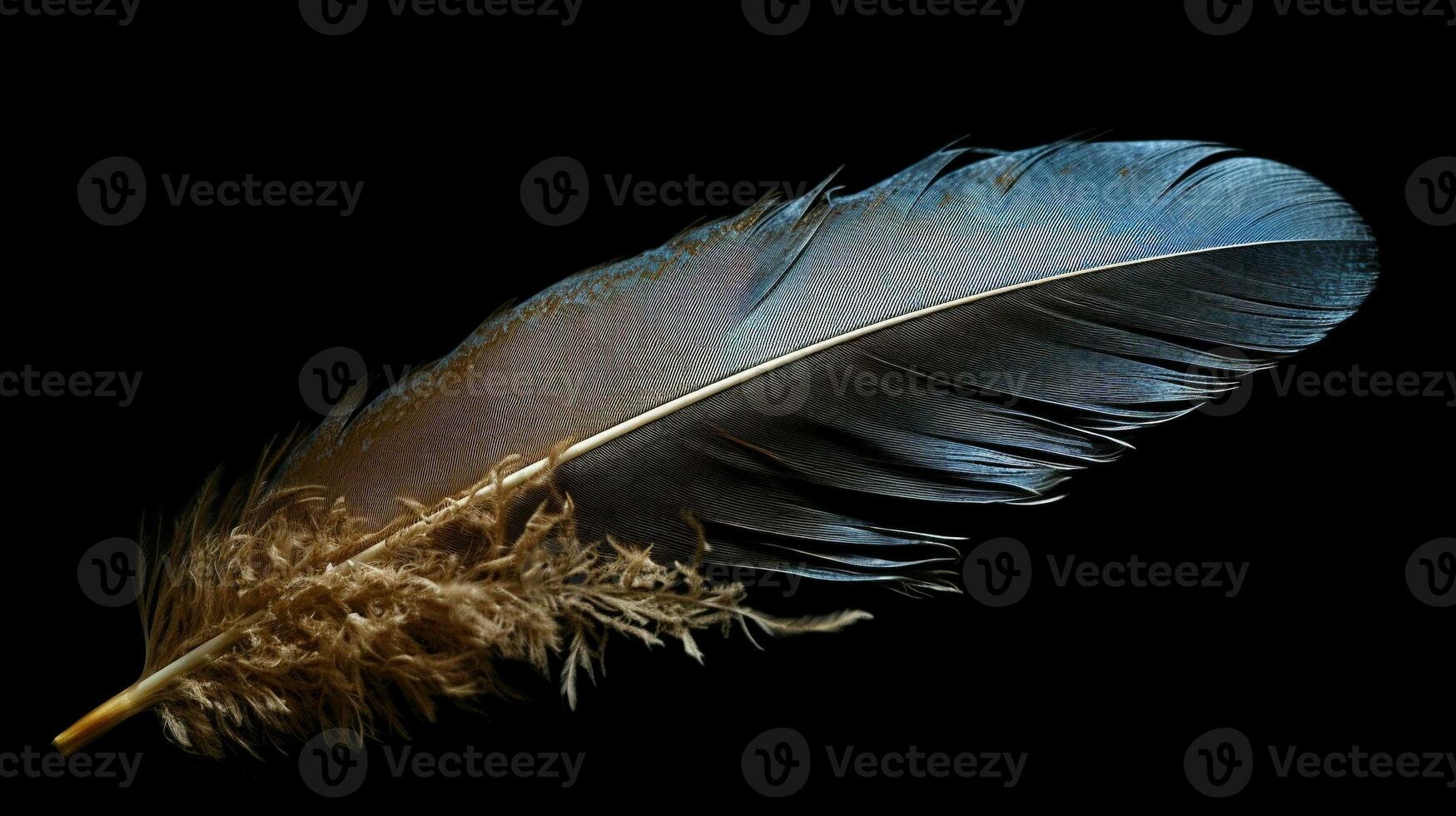 beautiful black feather isolated on black background Generative AI, AI Generated photo