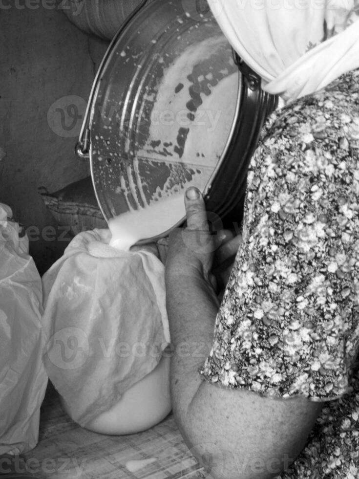 Photo on theme of milkmaid woman pouring milk