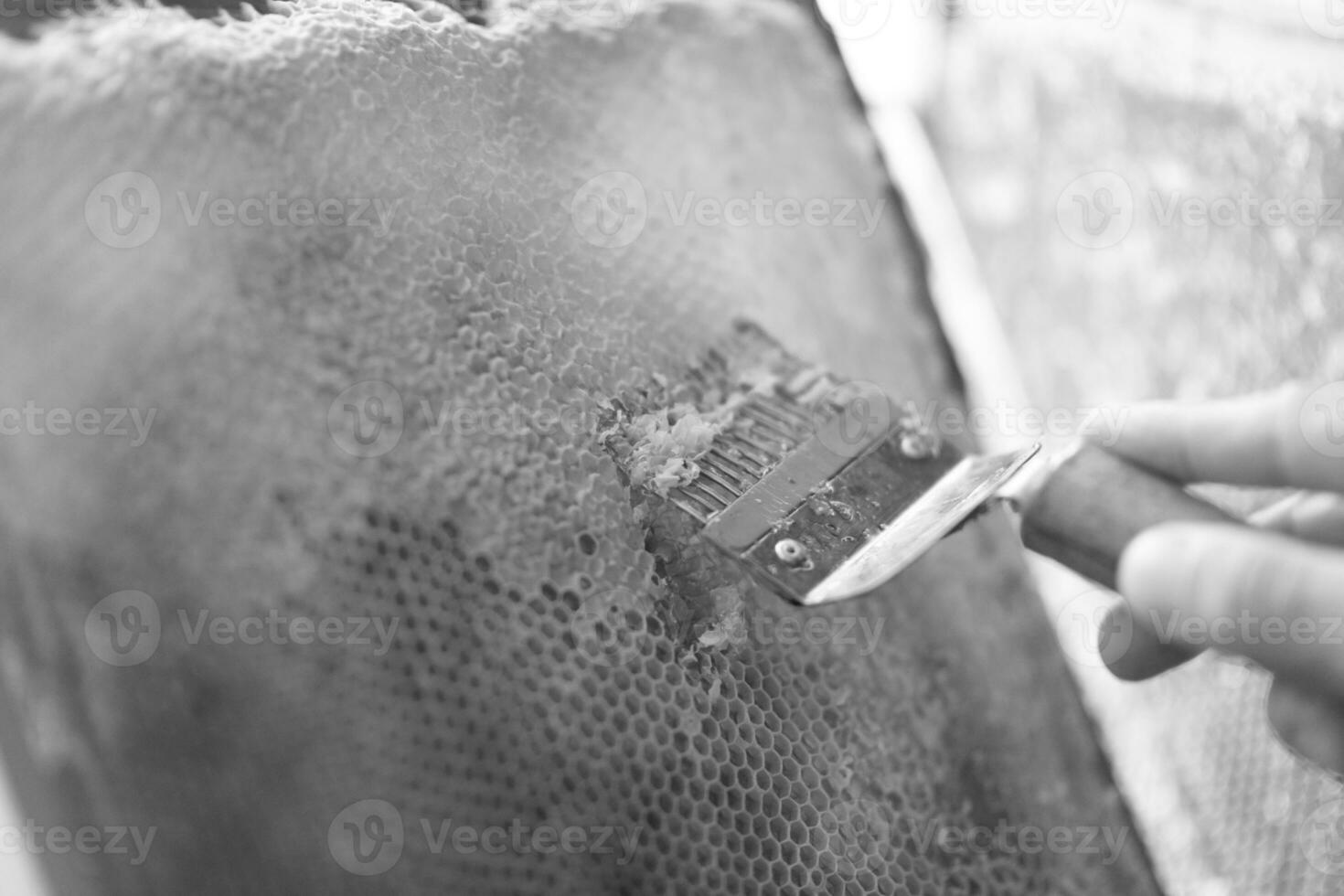 La estructura hexagonal abstracta es un panal de abejas de la colmena. foto