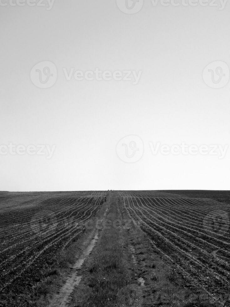 Plowed field for potato in brown soil on open countryside nature photo