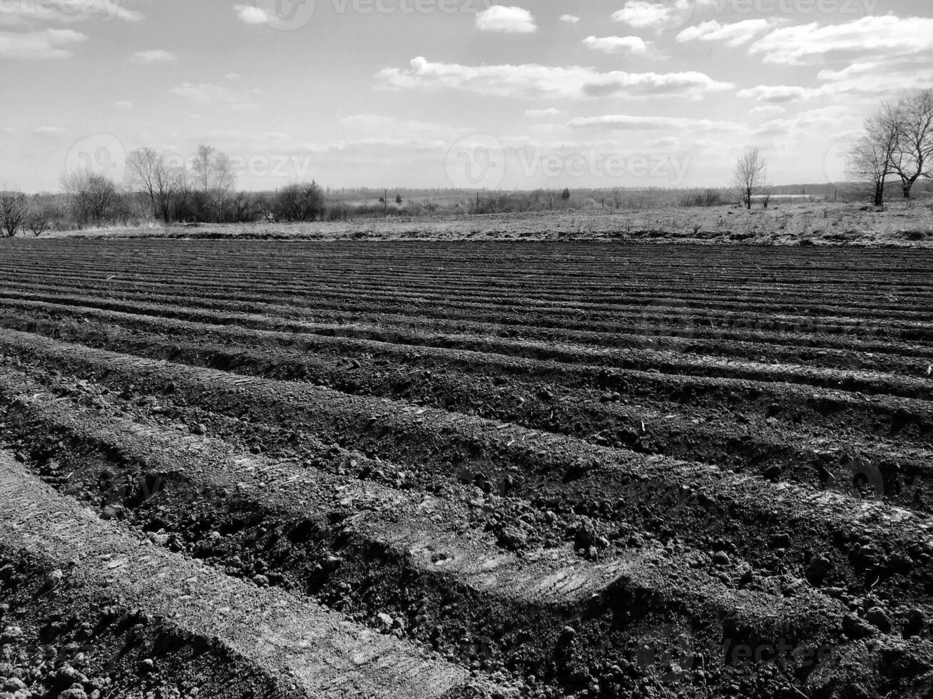 Plowed field for potato in brown soil on open countryside nature photo