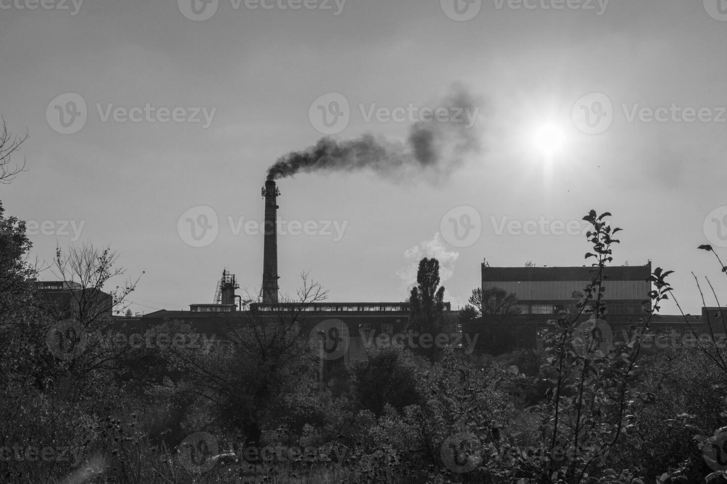 Photo on theme of poisonous thick smoke