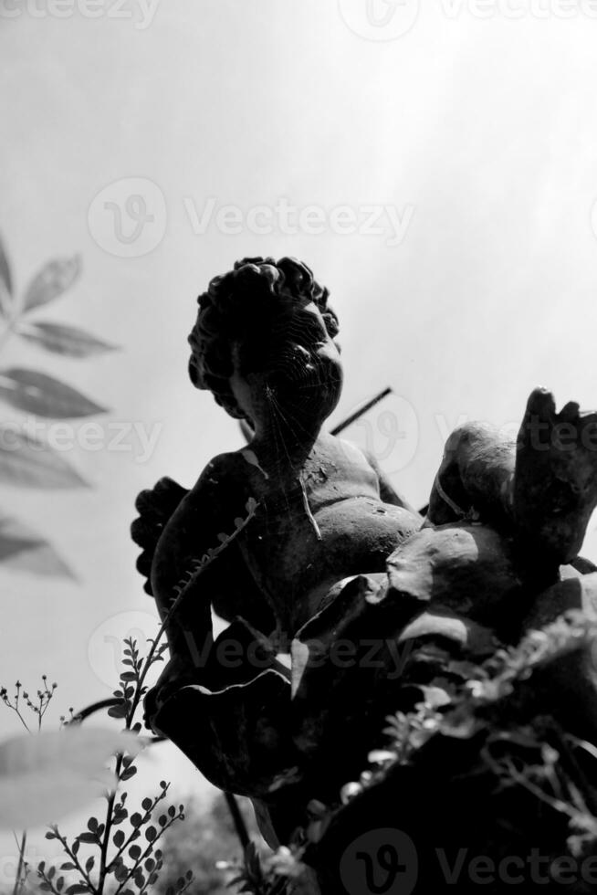 Beautiful Cupid angel statue with wings on back in vintage garden photo