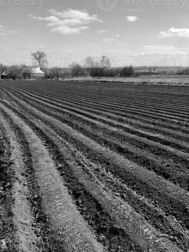 Plowed field for potato in brown soil on open countryside nature photo