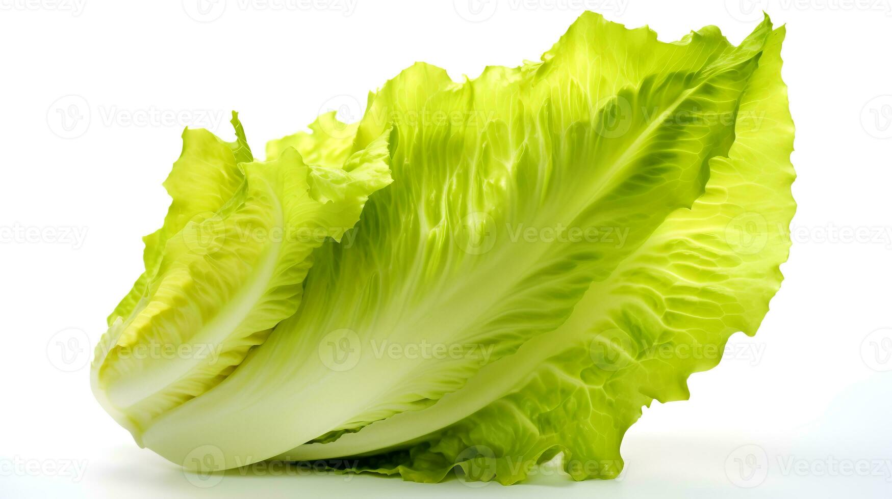 Photo of Fresh Lettuce isolated on white background. generative ai