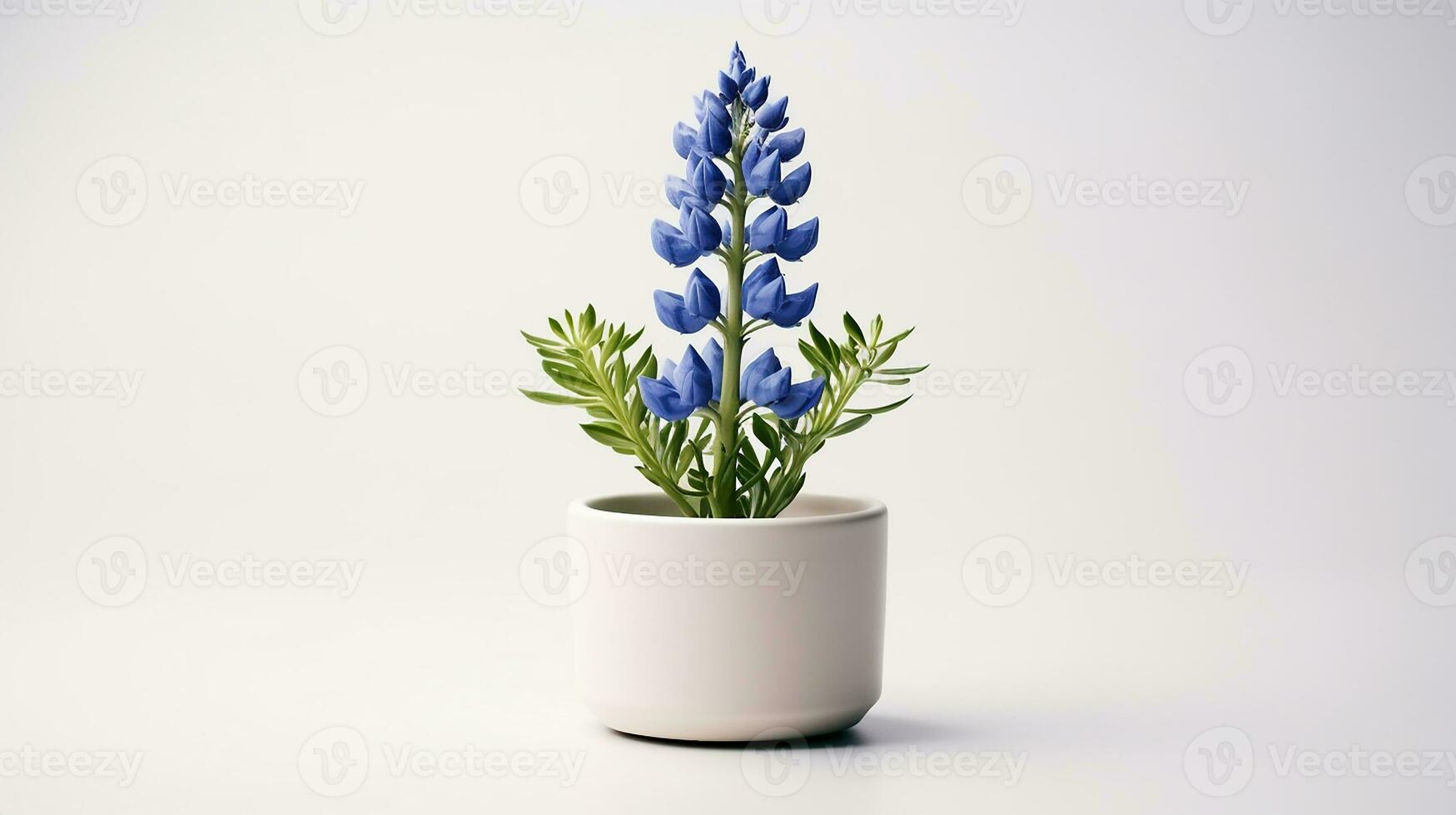 Photo of Bluebonnet flower in pot isolated on white background. Generative AI