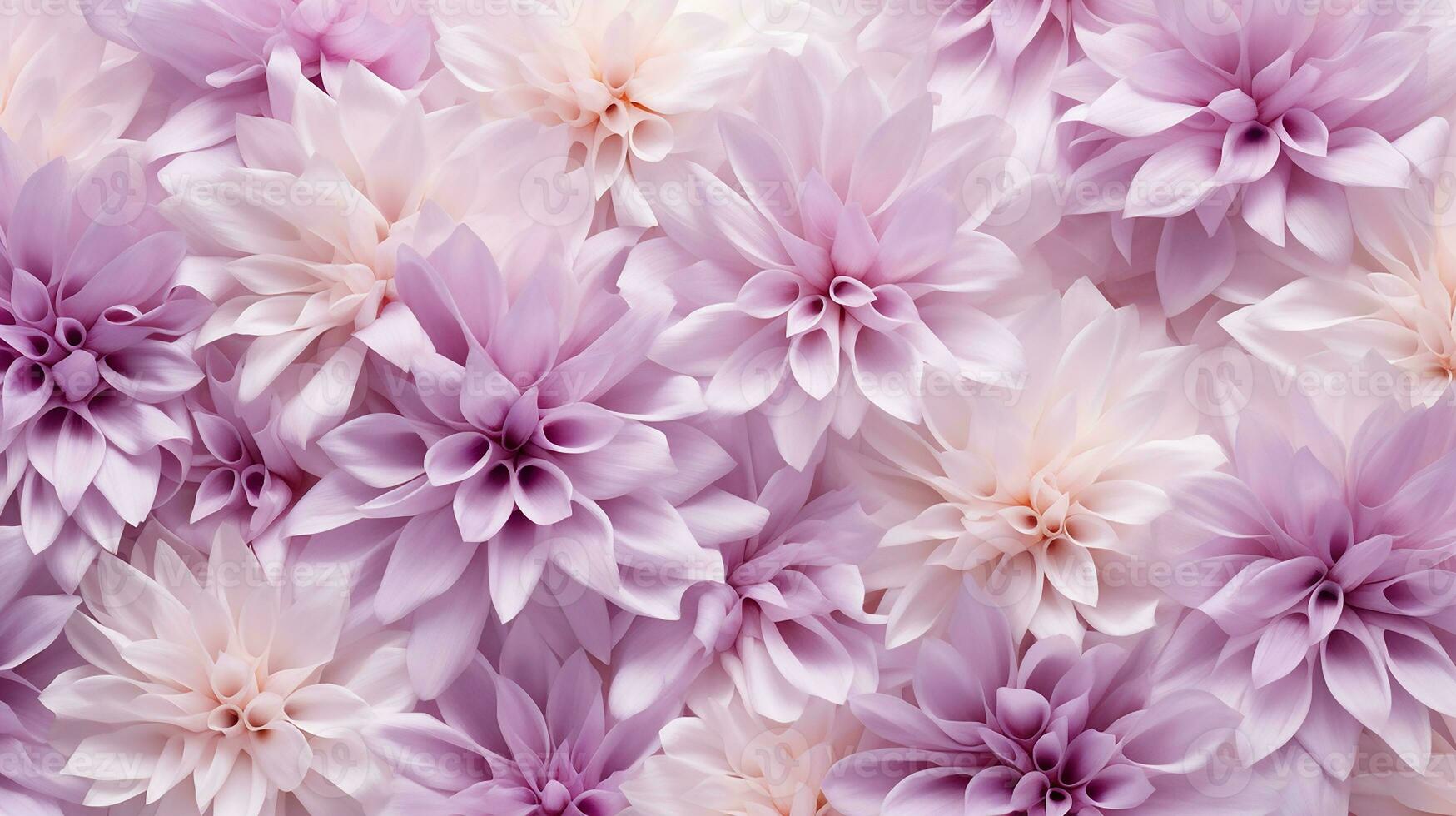 Aster flower pattern background. Aster flower background texture. Generative AI photo