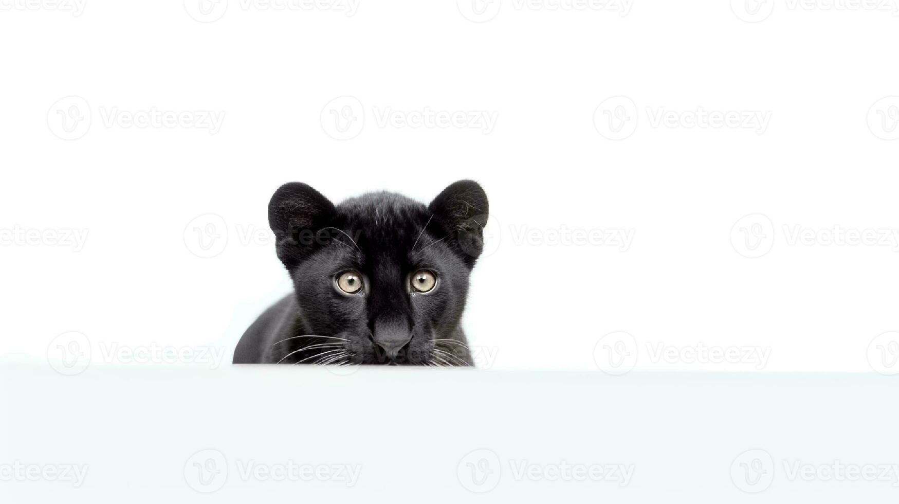 Photo of a panther on white background. generative ai