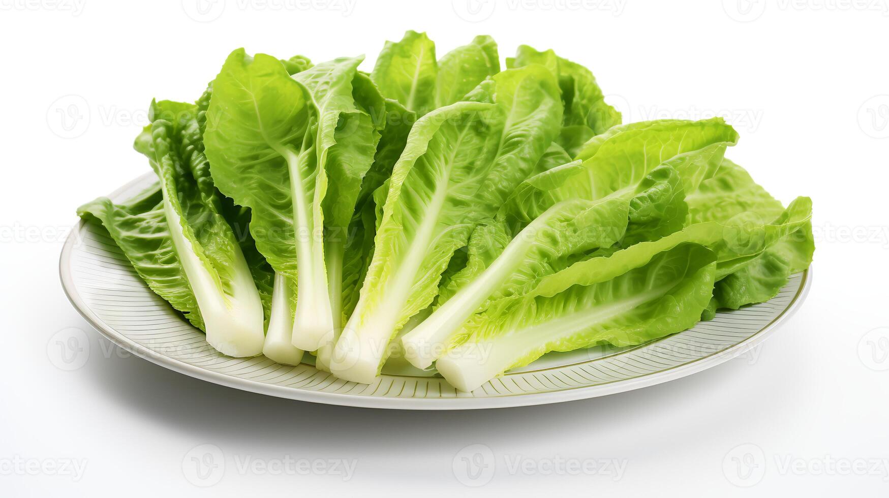 Photo of Escarole on plate isolated on white background. generative ai