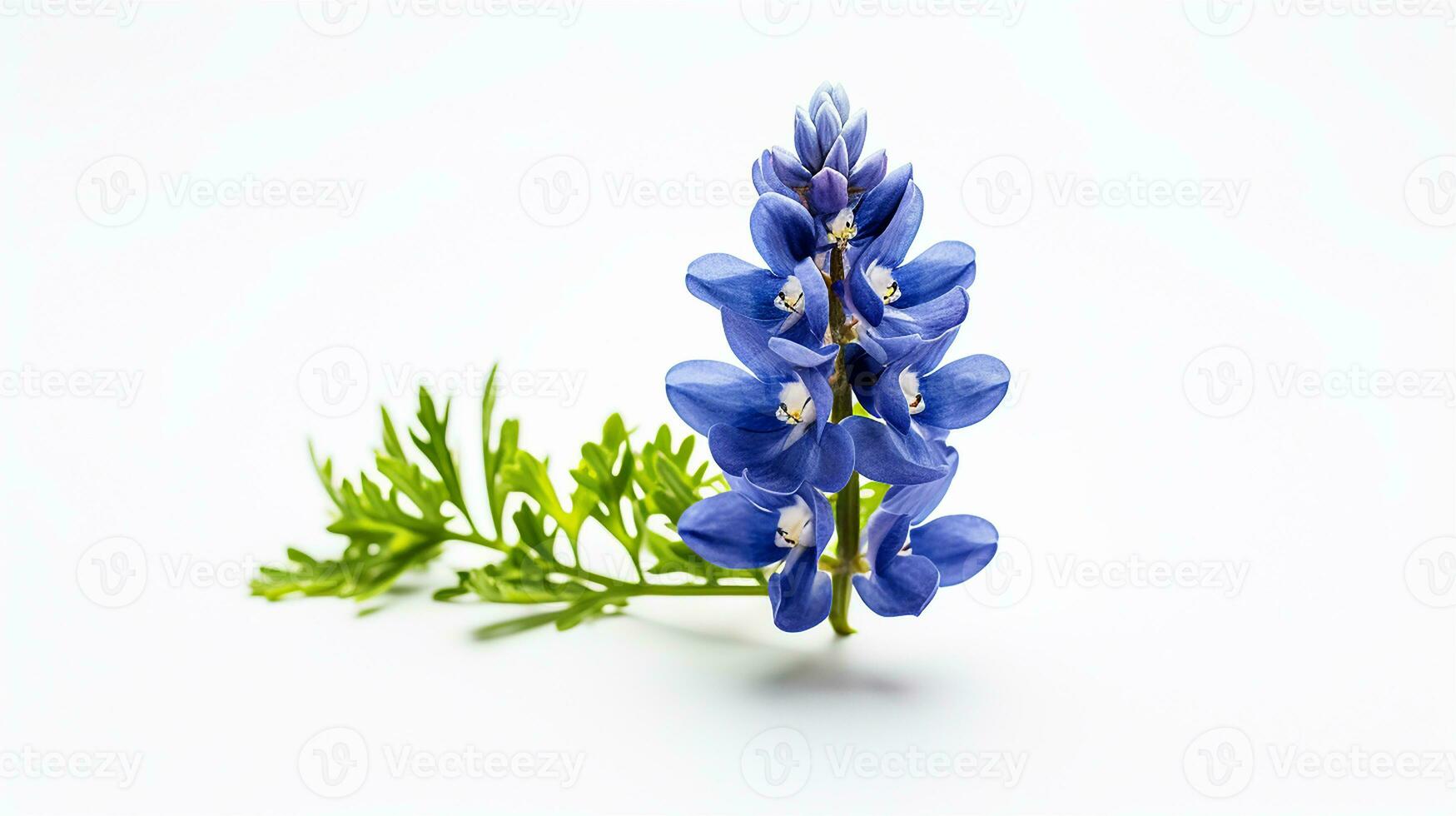 Photo of beautiful Bluebonnet flower isolated on white background. Generative AI