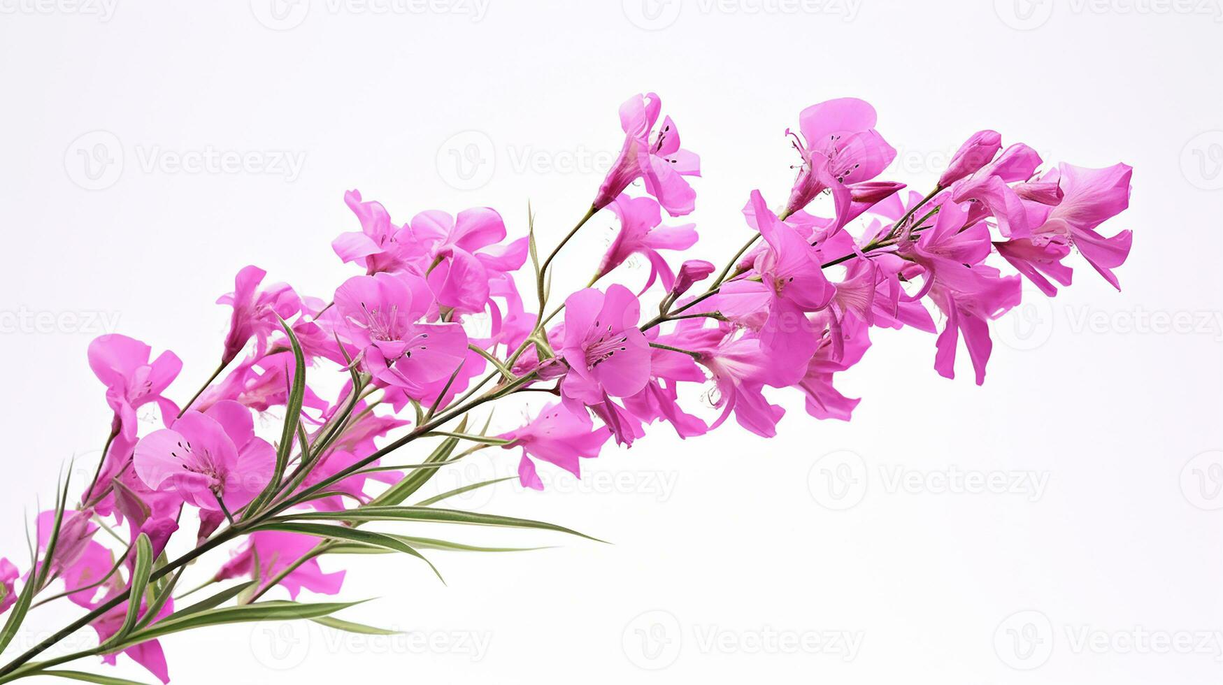 Photo of beautiful Fireweed flower isolated on white background. Generative AI