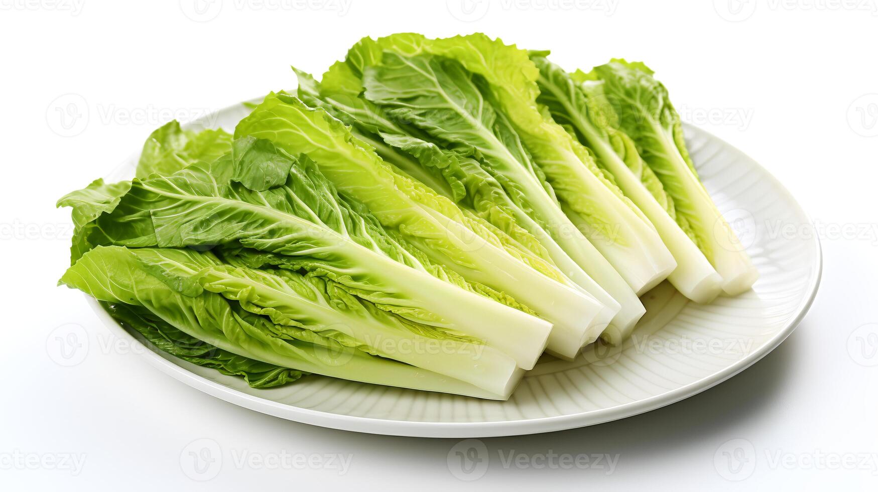 Photo of Escarole on plate isolated on white background. generative ai