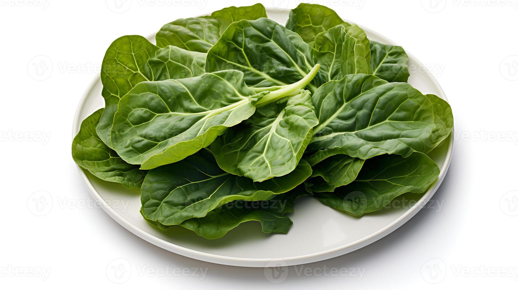 Photo of Collard greens on plate isolated on white background.