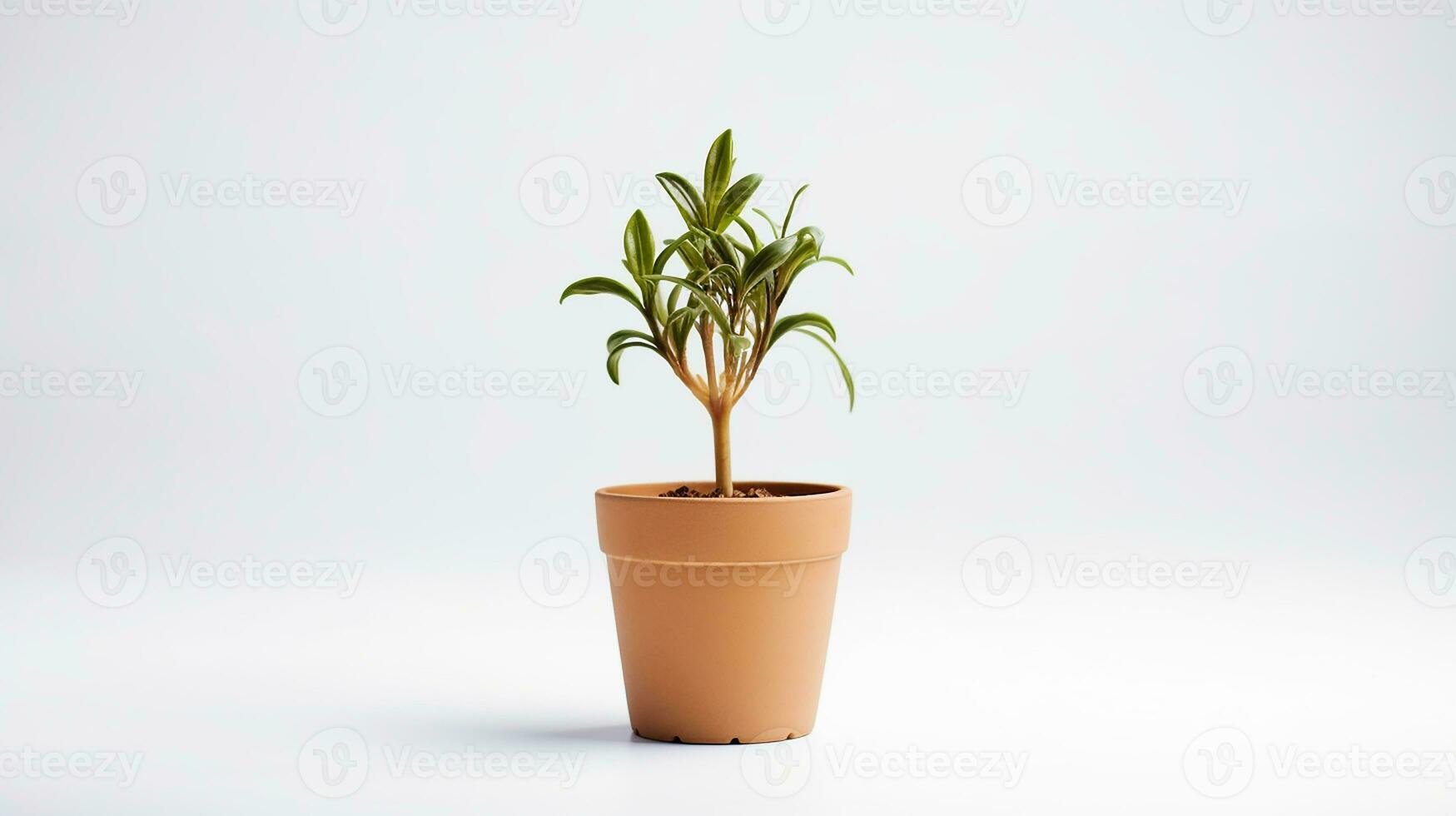 Photo of Fleur-de-lis flower in pot isolated on white background. Generative AI