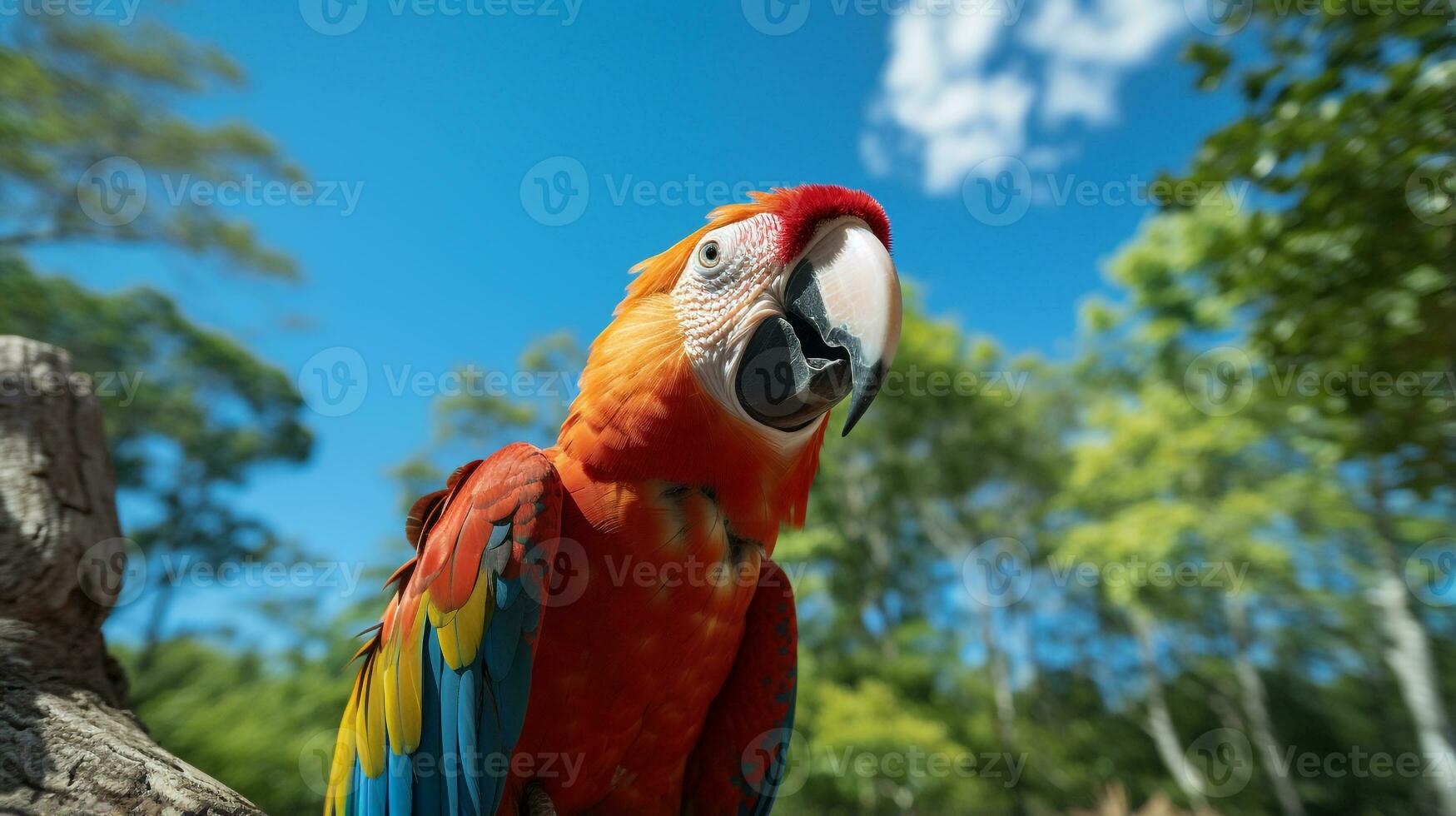 Photo of Parrot in ther forest with blue sky. Generative AI