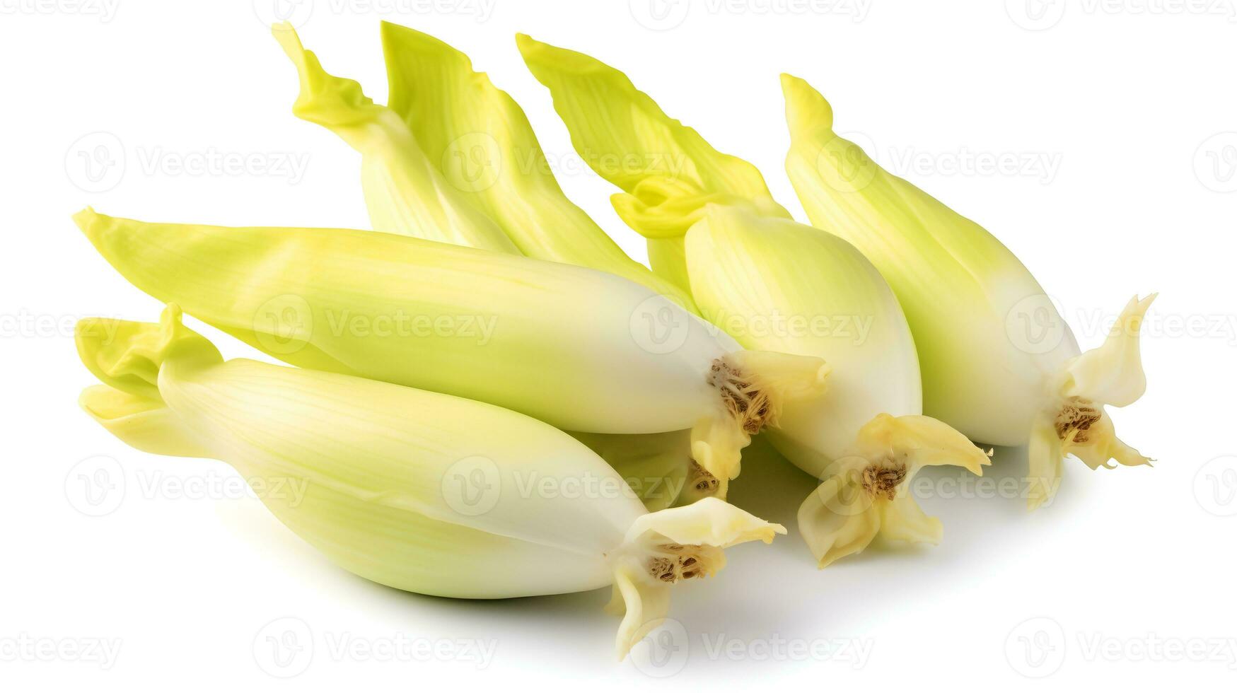 Photo of Endive isolated on white background. generative ai