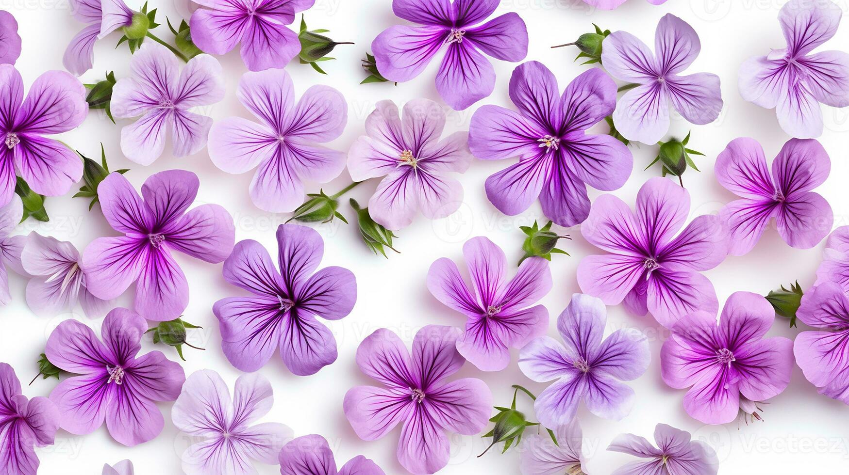 Cranesbill flower patterned background. Flower texture background. Generative AI photo