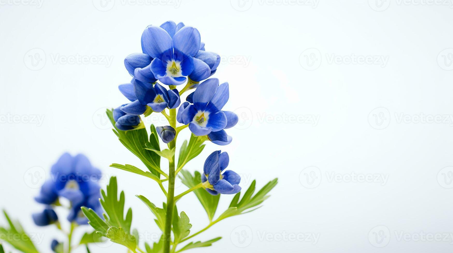 Photo of beautiful Bluebonnet flower isolated on white background. Generative AI