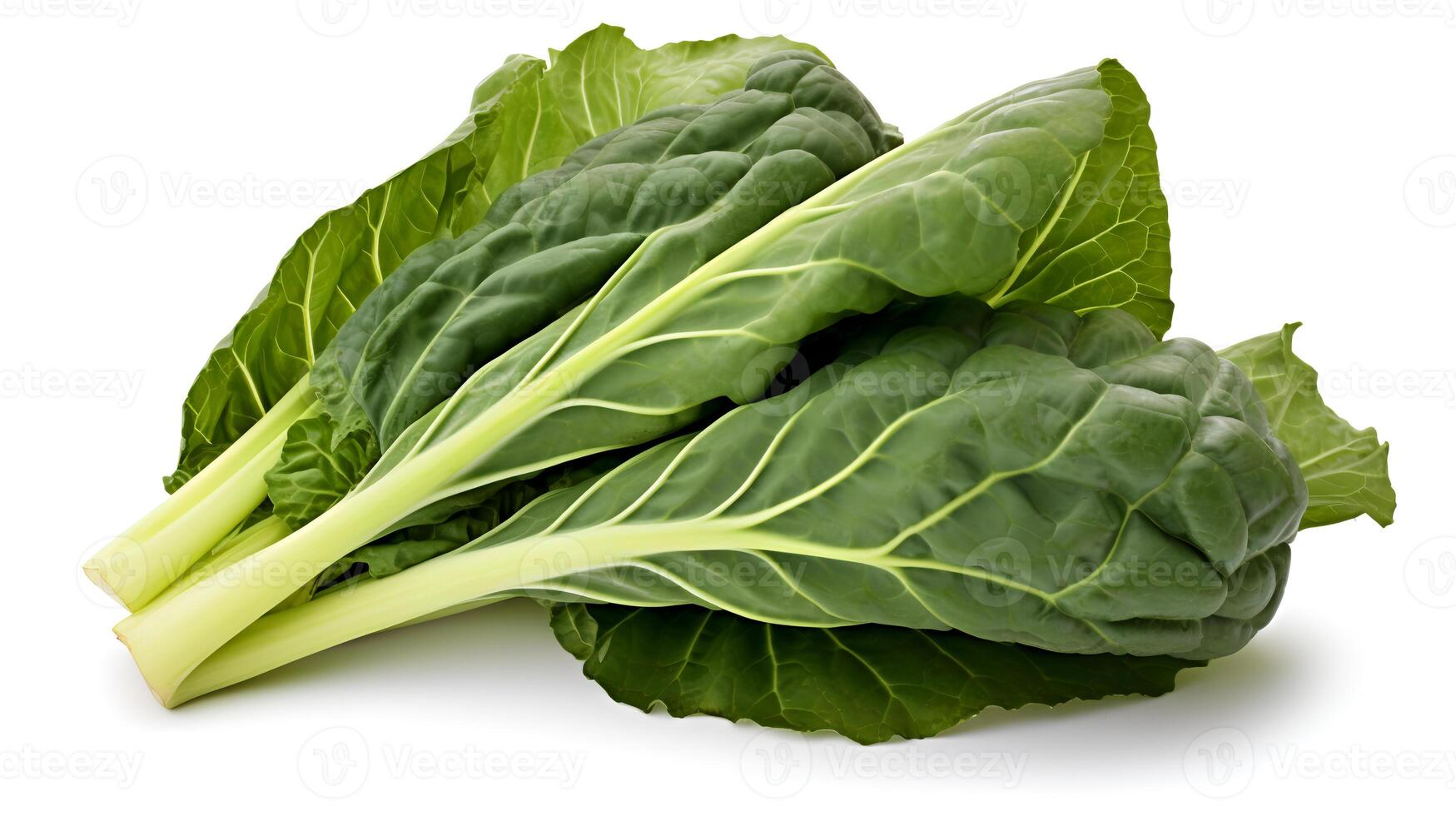 Photo of Collard greens isolated on white background.