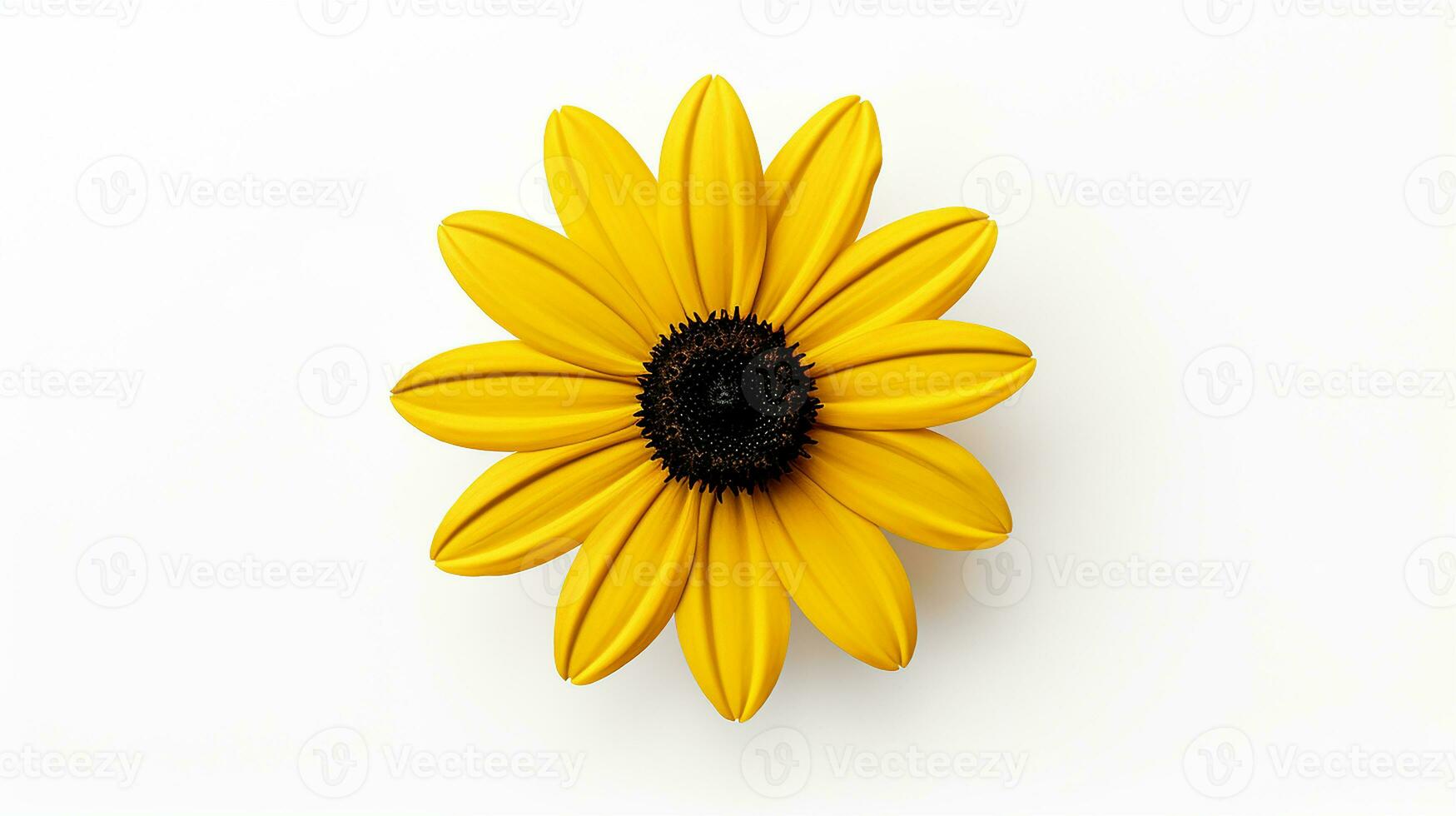 Photo of beautiful Black-Eyed Susan flower isolated on white background. Generative AI