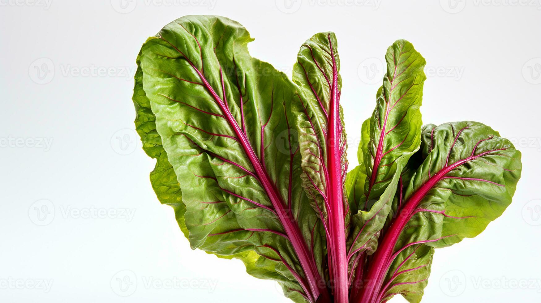 Photo of beautiful Swiss Chard flower isolated on white background. Generative AI