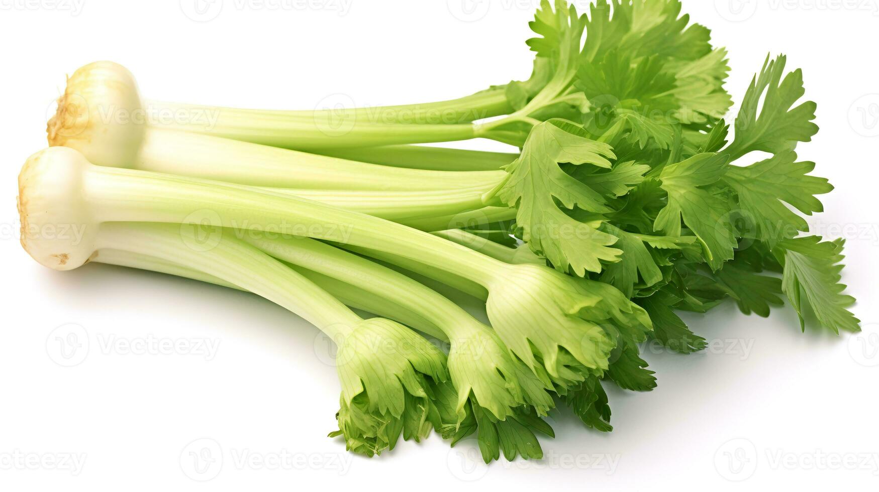 Photo of Celery isolated on white background. generative ai