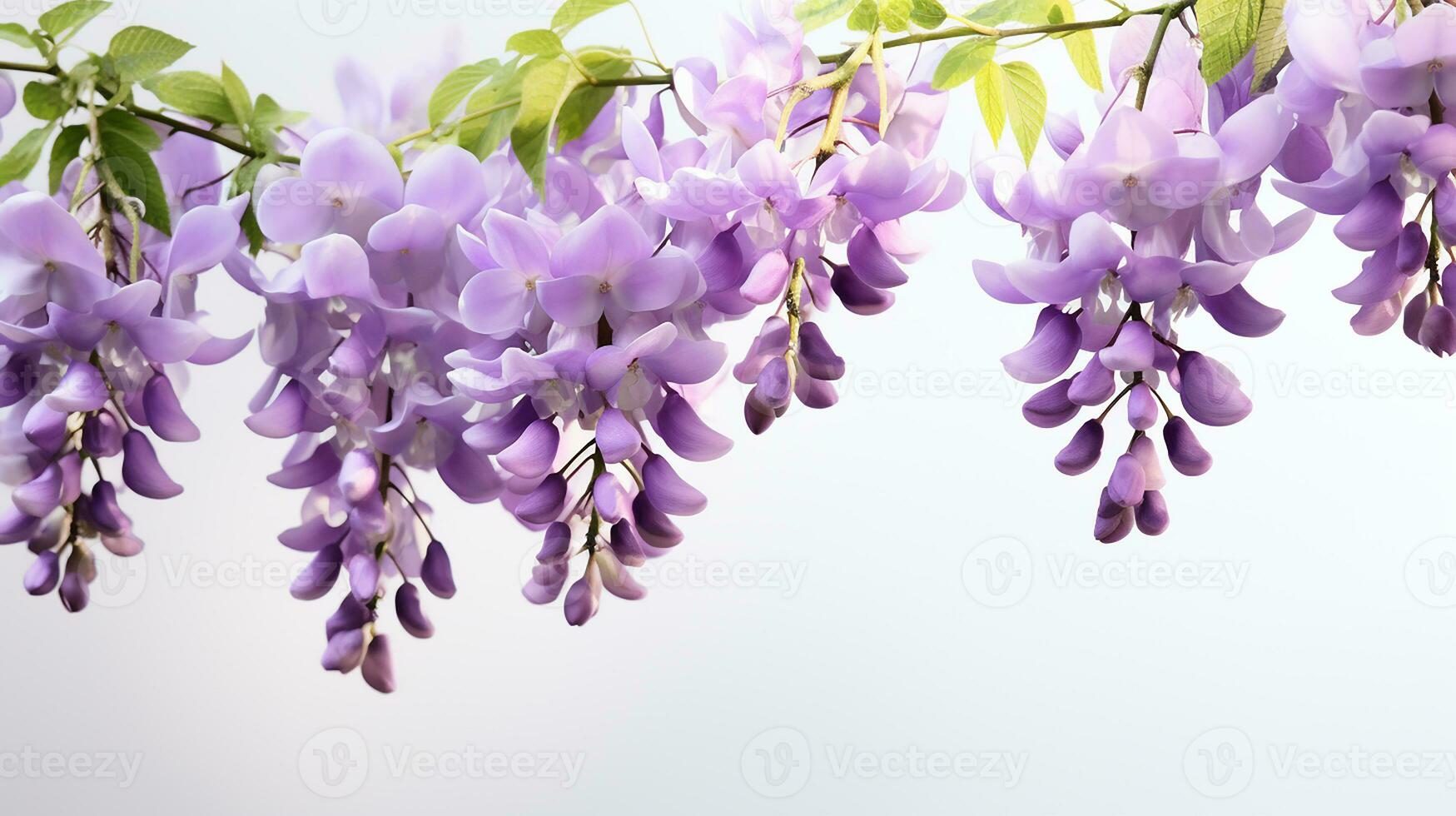 Photo of beautiful Wisteria flower isolated on white background. Generative AI