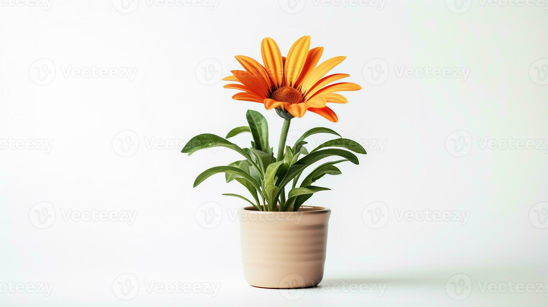 Photo of Gazania flower in pot isolated on white background. Generative AI