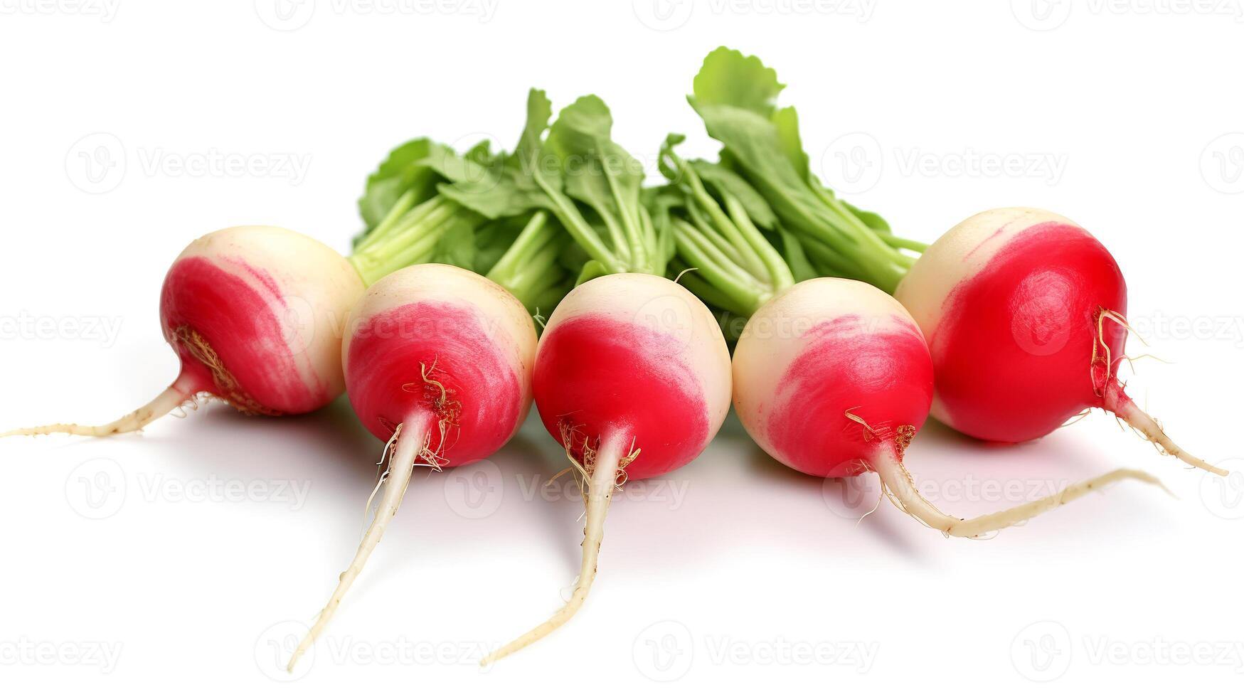 Photo of Radishes isolated on white background.