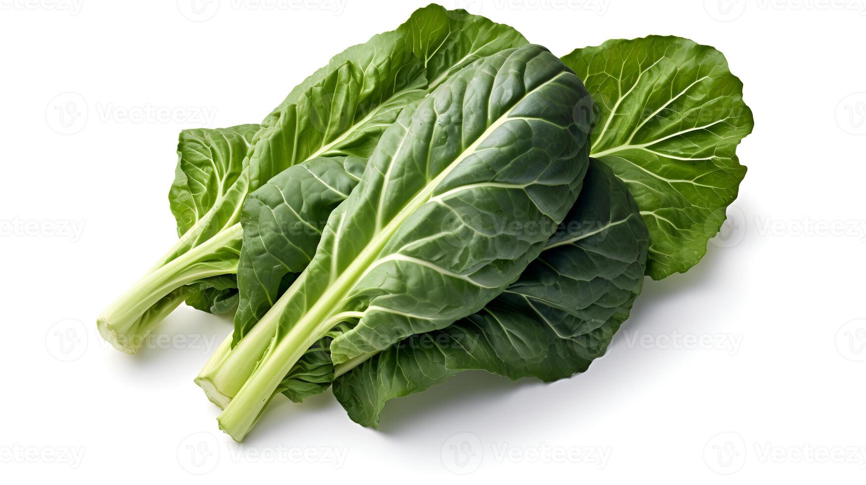 Photo of Collard greens isolated on white background.