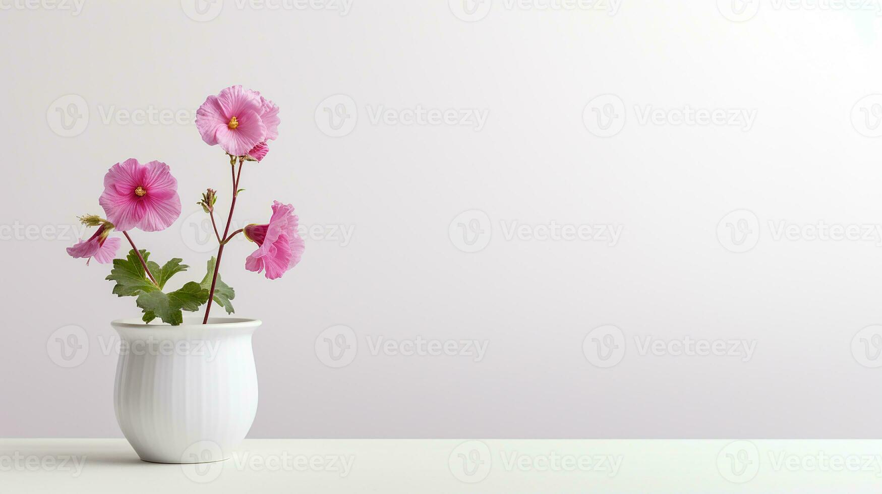 Photo of Hollyhock flower in pot isolated on white background. Generative AI