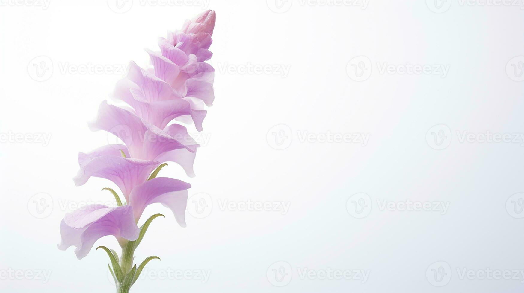 Photo of beautiful Foxglove flower isolated on white background. Generative AI